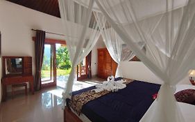 Abian View House